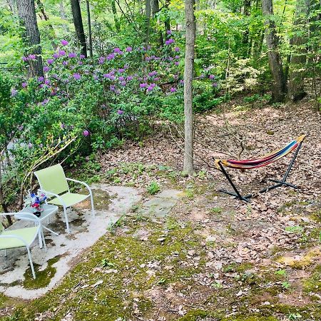 Modern Cabin With Hot Tub Grill Lake Beach Wineries Hiking Fishing And Hershey Park Family And Pet Friendly Superhosts On Ab&B Mount Gretna 외부 사진